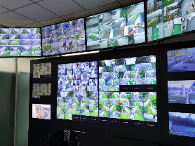 專注智能化弱電工程與安裝工程服務